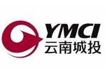 云南诚投